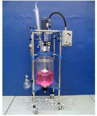 玻璃反應(yīng)釜類型 玻璃反應(yīng)釜 南京炳輝儀器儀表公司圖片